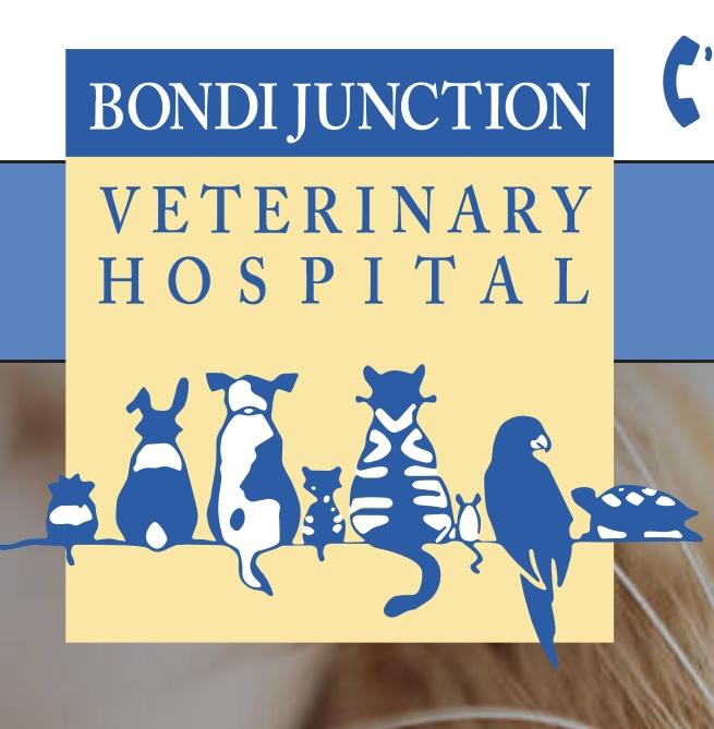 Bondi Junction Veterinary Hospital
